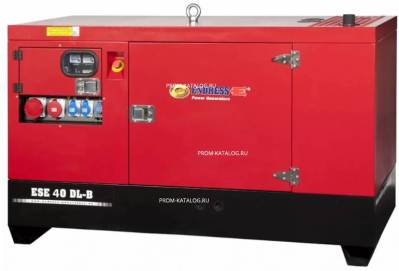 Дизельная электростанция Endress ESE 30 DL-B 310 002 